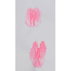 UNIKAT Meine P*ssy auf Papier